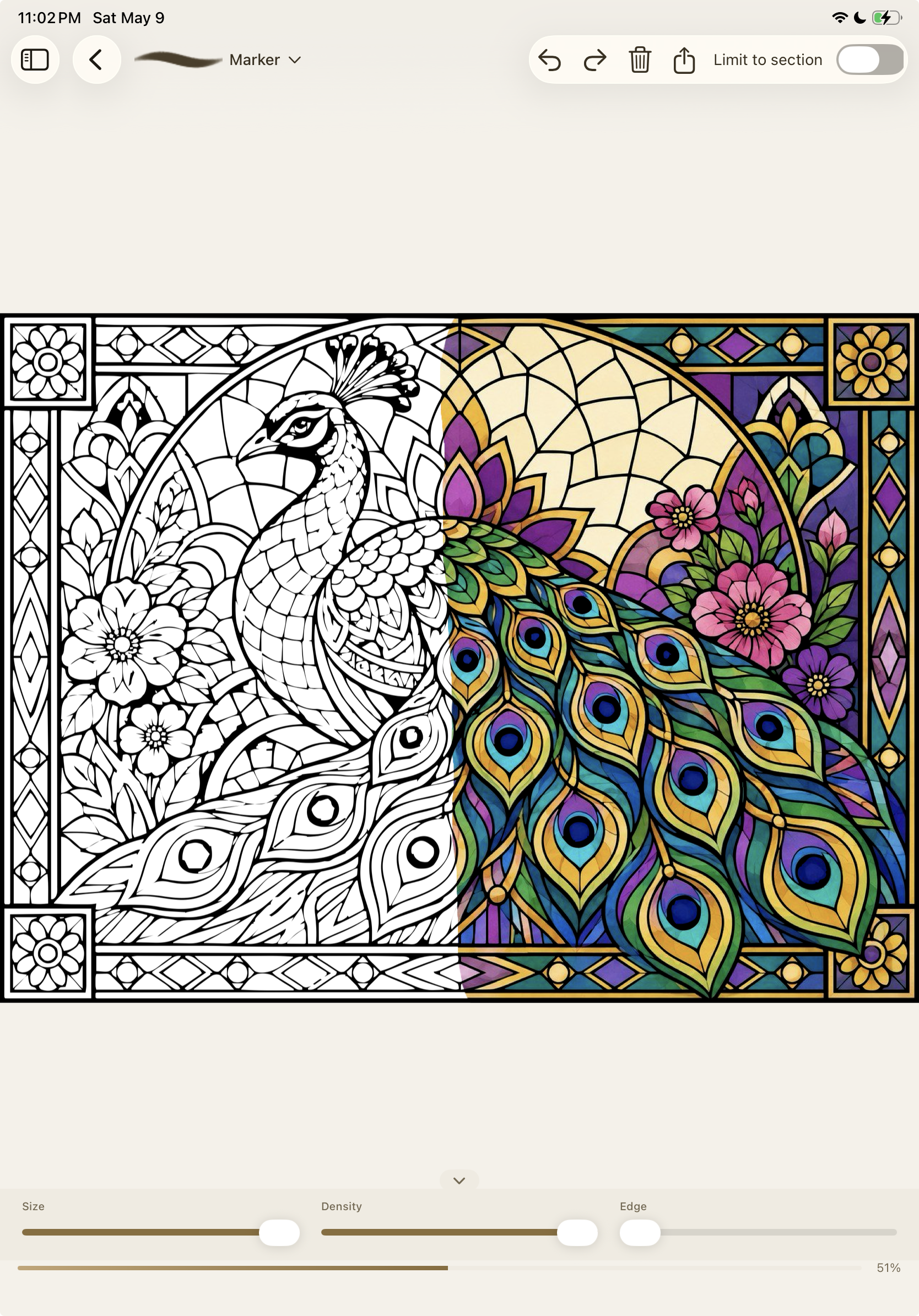 Reveal app showing a stained-glass peacock page mid-coloring — half the artwork has been revealed in jewel tones, the other half is still in lineart.